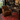 A brown leather wingback armchair with nailhead trim sits on a red patterned area rug in a dark, vintage-style study room with a wooden desk, bookshelves, and a black desk lamp.