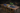 Dining table set with chairs, blue placemats, and decorative items in a dimly lit room.