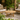 Recycled Teak Coffee Table - Medium