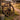 Vintage Wagon Wheel